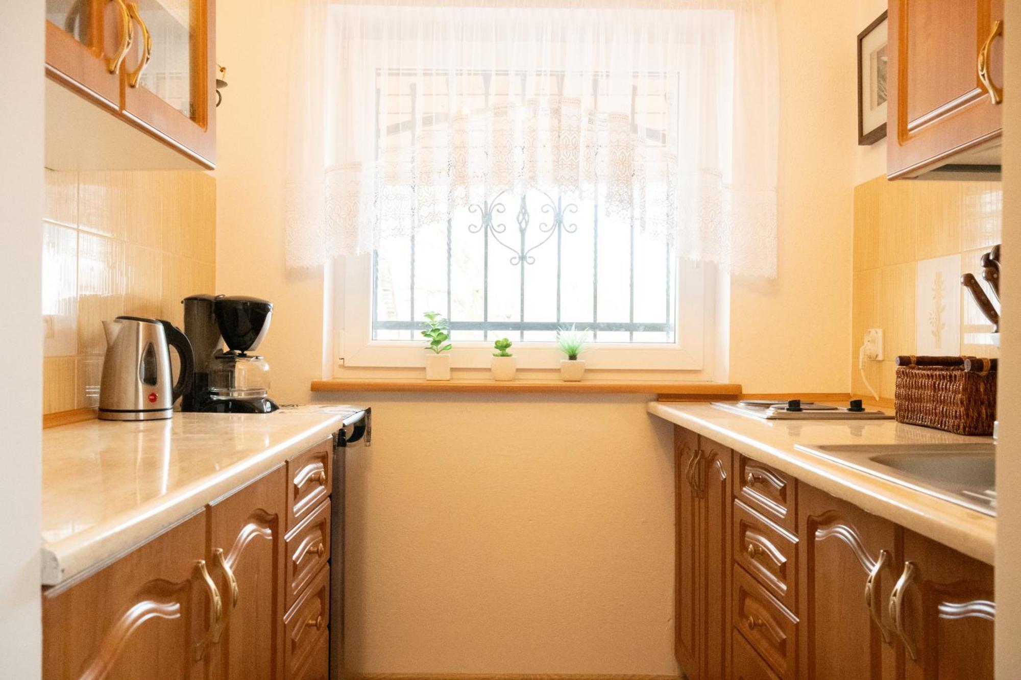 Apartament U Ani 1 Дзвижино Экстерьер фото